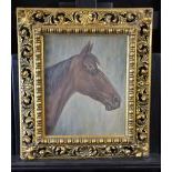 Oil on cardboard Horses head, signed. Carved, gilded frame. 36 x 29cm.