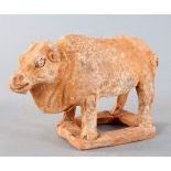 Model of a cow, China, Tang Dynasty 618-907 AD