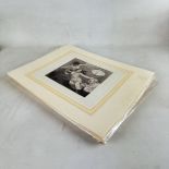 Lot of 12 Erotic Art Litographs