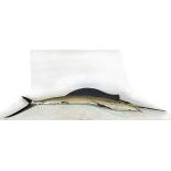 Huge Sailfish Wall Hangable Decoration Figure